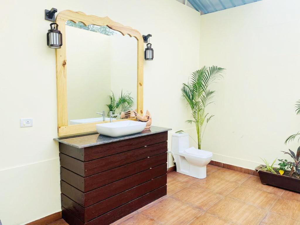 Agonda Serenity Beach Villa المظهر الخارجي الصورة